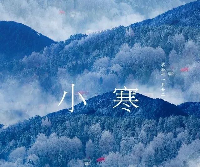 小寒丨雪过梅开等风送香来