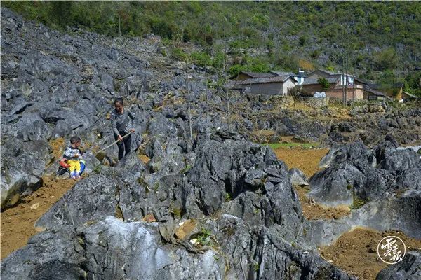 山清水秀美如画 吕德仁 摄) 多依坪村地处西畴县兴街镇三光片区石漠化