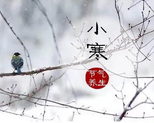 【节日祝福】小寒:季冬三九至,新岁辞旧来!