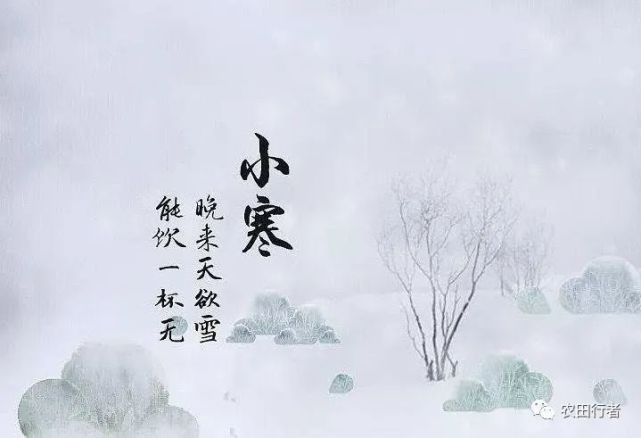 今日小寒明年旱涝与倒春寒如何农民注意两点