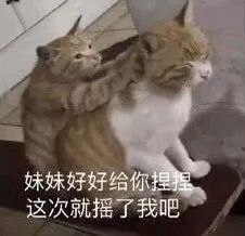 沙雕表情包l小猫咪驾到通通闪开