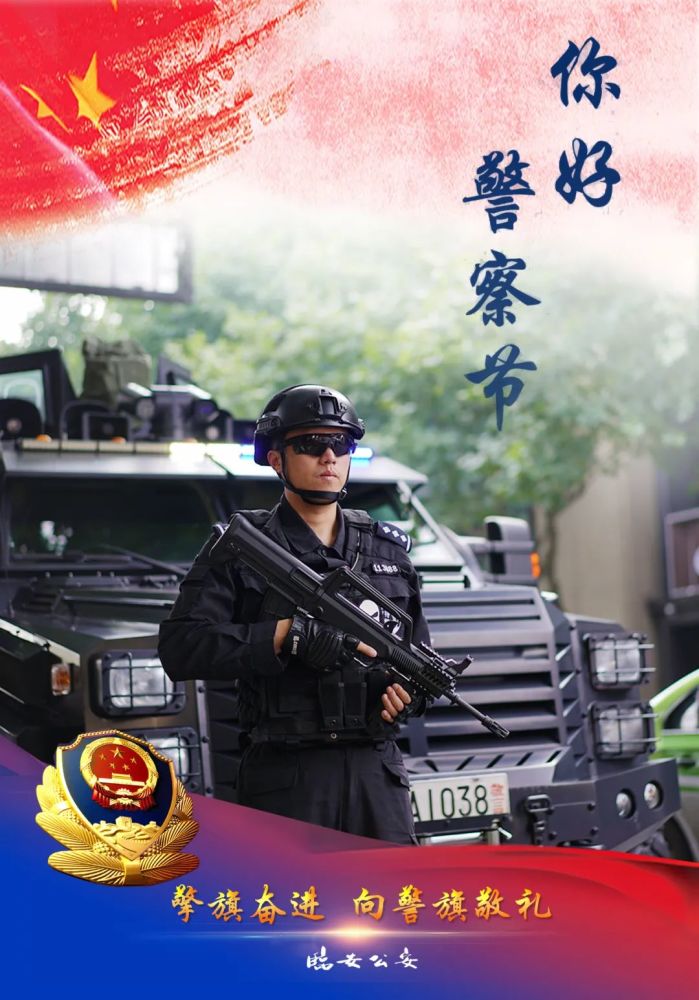 你好,警察节|擎旗奋进,临安公安向警旗敬礼!