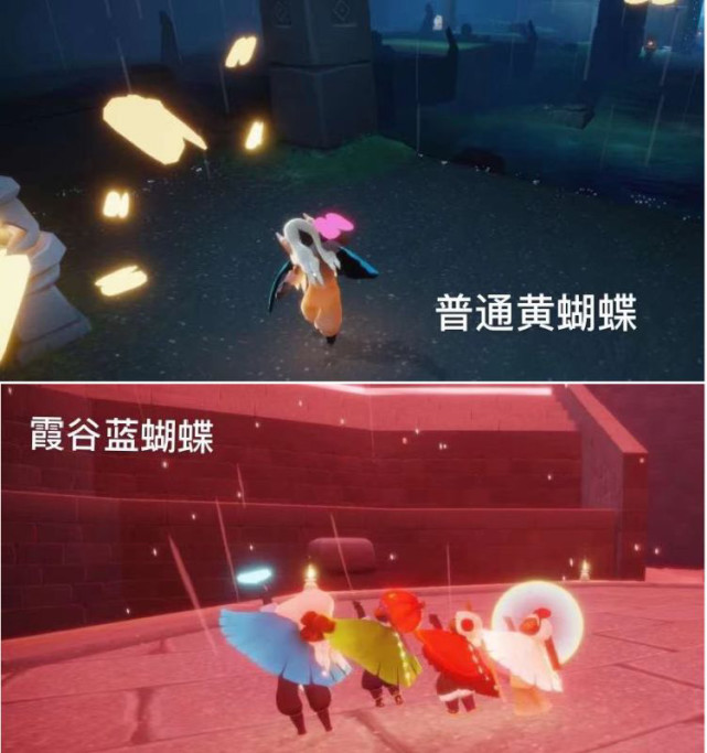 【光遇科普】光遇的第三种蝴蝶