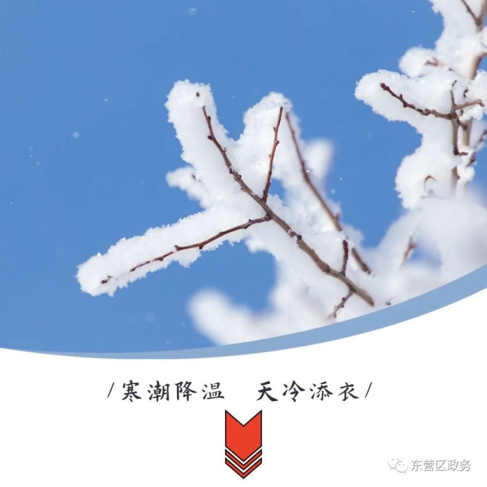 "冻"真格了|"霸王级"寒潮来袭,速看防御指南!
