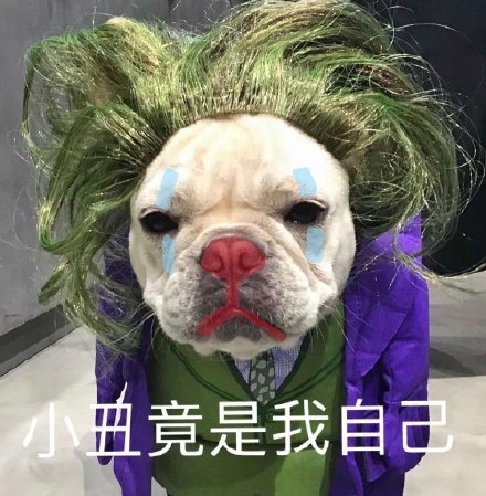 头像表情包丨小丑竟是我自己