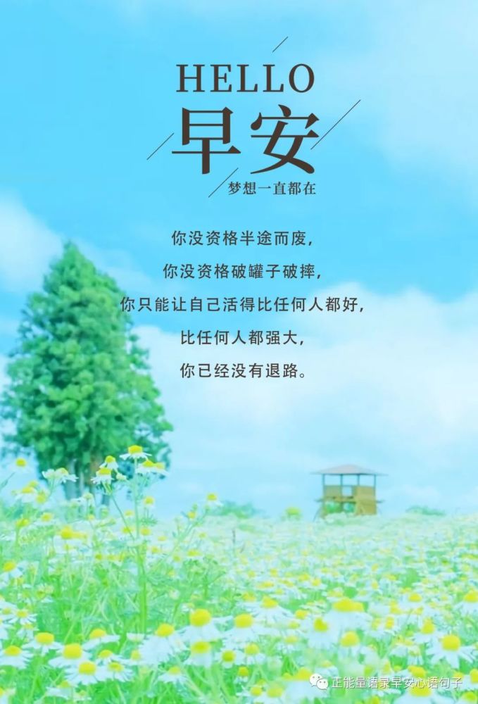 1月6日早安心语|正能量有深度的早安句子,催人奋进的早安励志说说