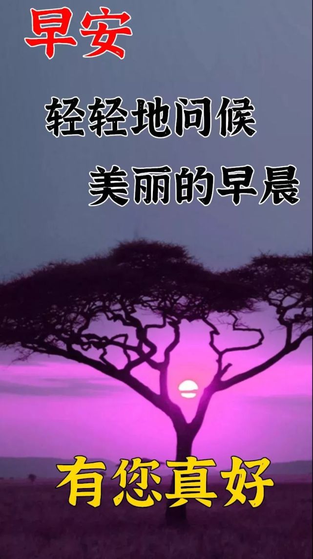 最新唯美好看早安早上好图片带祝福语,清晨早上好图片