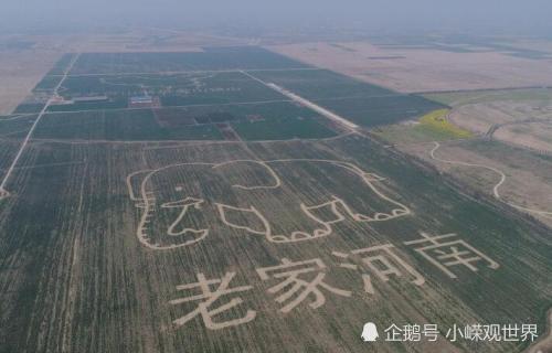 褚姓人口上海_姓氏头像带字我姓褚(2)