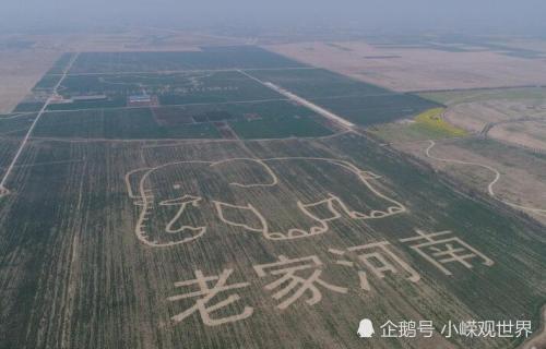 濮阳姓氏人口_濮阳裹凉皮图片(3)