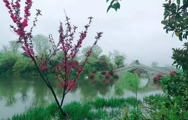 十里桃花就在无锡啊!美得住建部都忍不住出手了