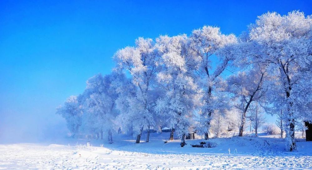 十大雪景观赏地冬季美的不仅有哈尔滨还有这些地方