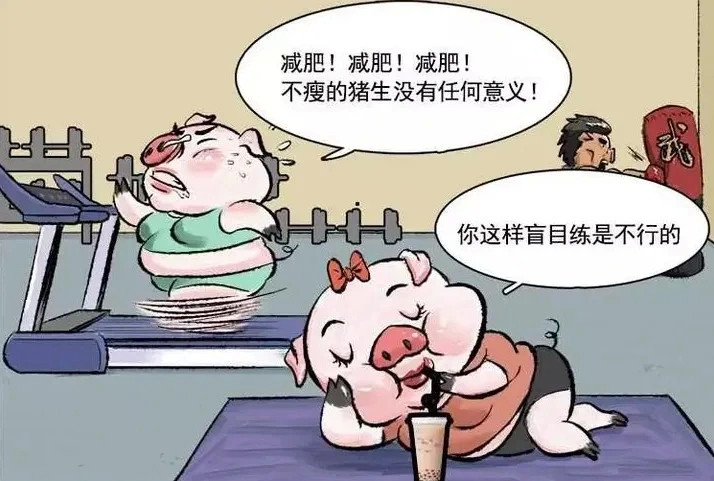 搞笑:减肥路上的猪队友!