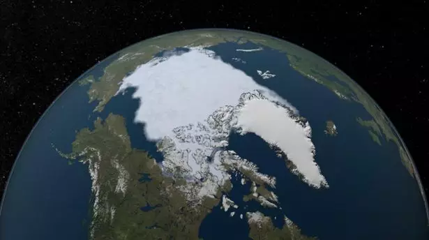 nasa卫星照片显示全球变暖,北极熊无处落脚,人类何去何从?