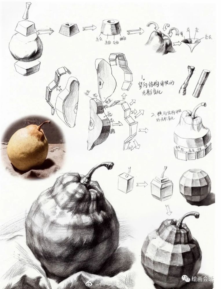 不要再搜素描静物了,你要的素描单体素材绘画资料都在