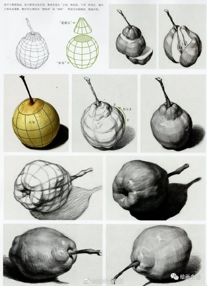 不要再搜素描静物了,你要的素描单体素材绘画资料都在