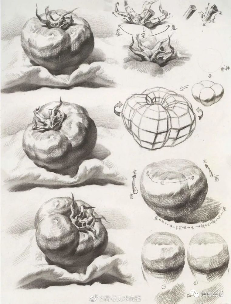 不要再搜素描静物了,你要的素描单体素材绘画资料都在
