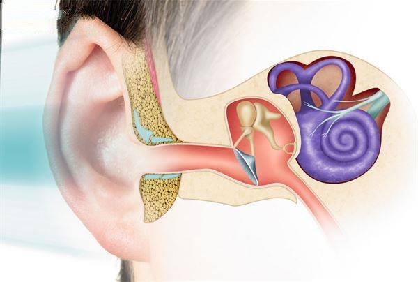 专家:「耳石症」是耳朵长结石酿眩晕,头晕?吃维生素d助改善?