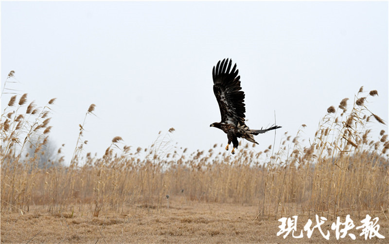 阜阳赵姓人口_阜阳火车站(3)