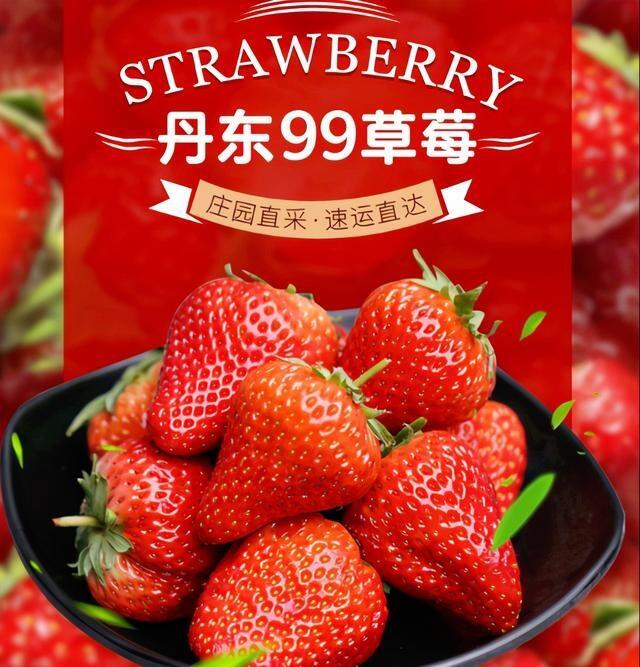 吃草莓的人专挑丹东红颜草莓,原产地直发新鲜到家,美味不用等候