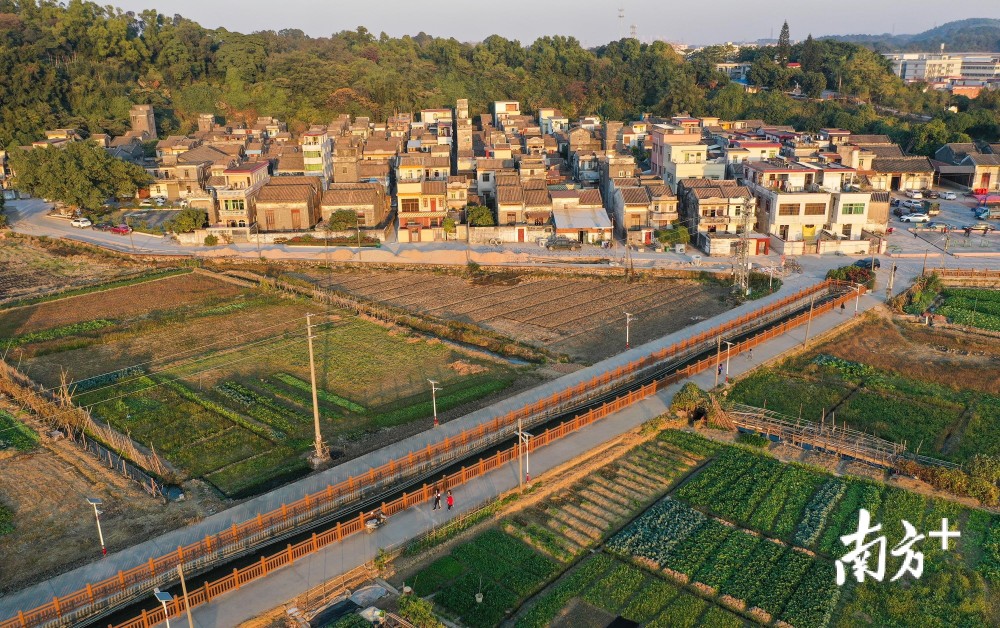 野城村人口_东汇城超市人口图片(3)