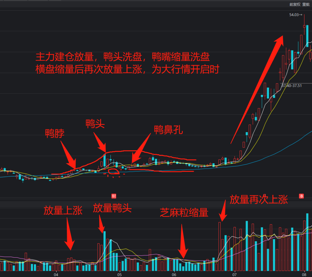 炒股技术之老鸭头