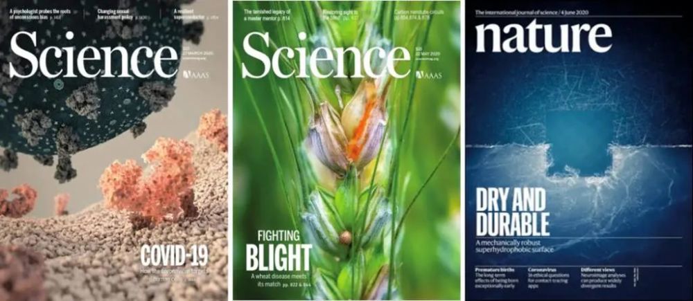 nature&science 论文年度盘点,这些大学发文最多