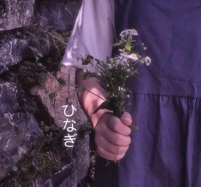 超美头像丨干净又好看的捧花女头