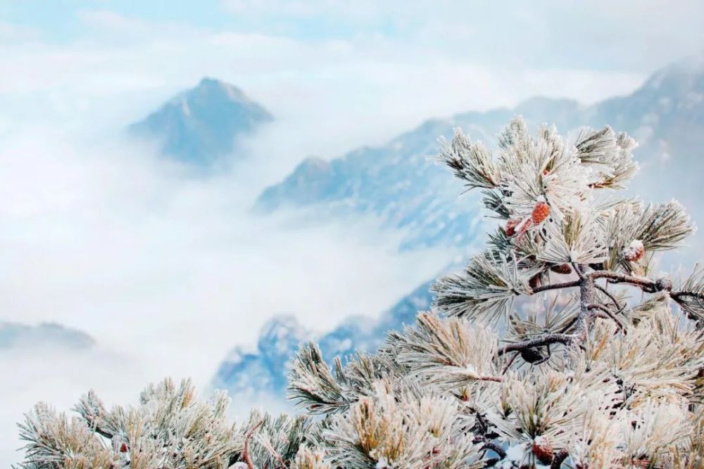 什么雪什么寻的成语_雪的图片风景(3)