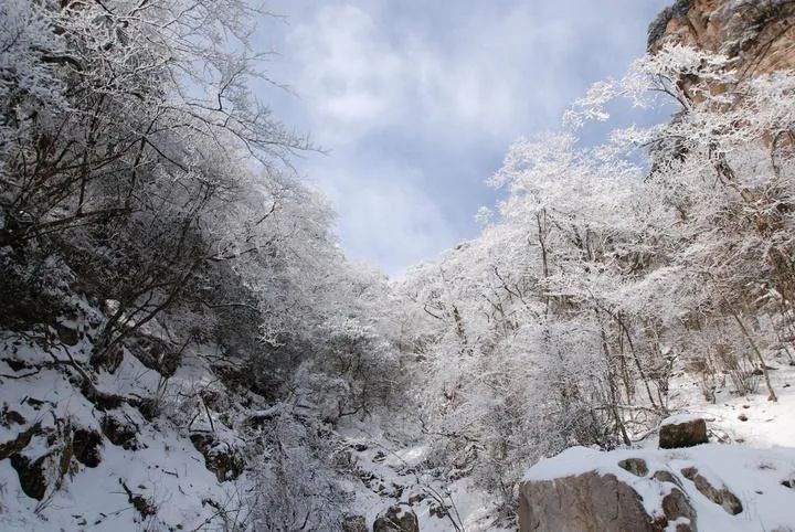 什么雪什么寻的成语_雪的图片风景(3)