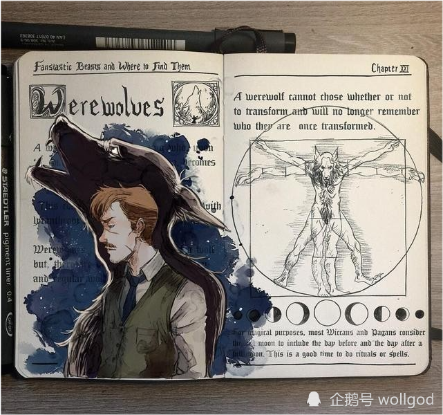《哈利波特》:活在手绘插画本中的魔法世界,实在太赞