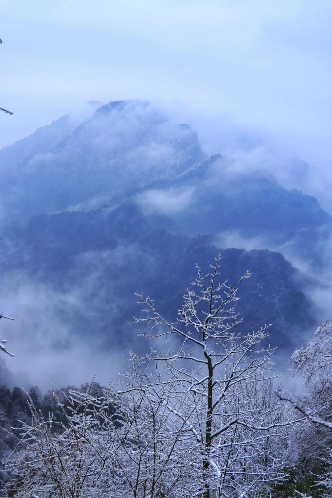 赏个雪景摔断手还被困山上!成都人为看个雪太拼了!