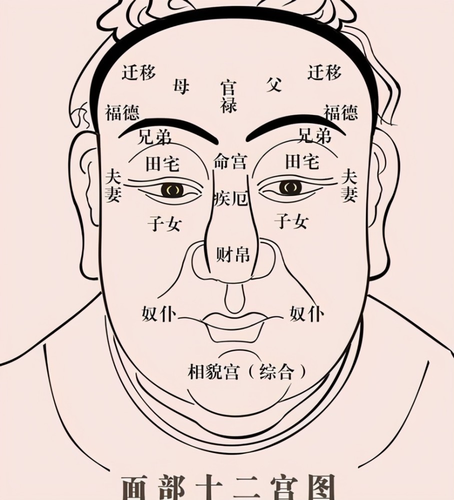 面相基础位置示意图