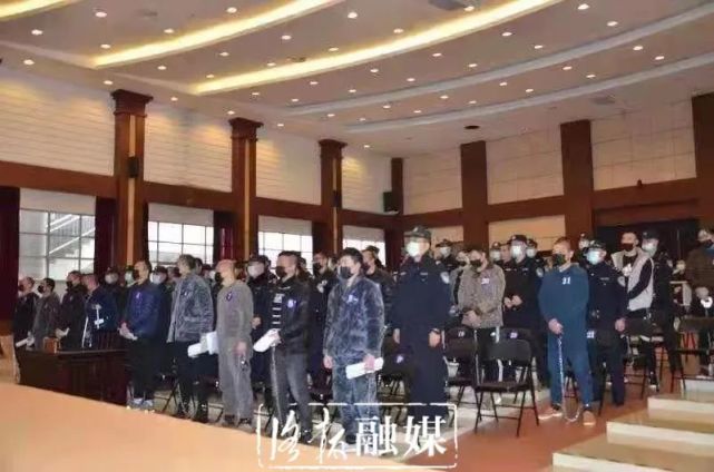 洛阳市洛龙区人民法院 对莫子强等34名被告人 组织,领导,参加 黑社会