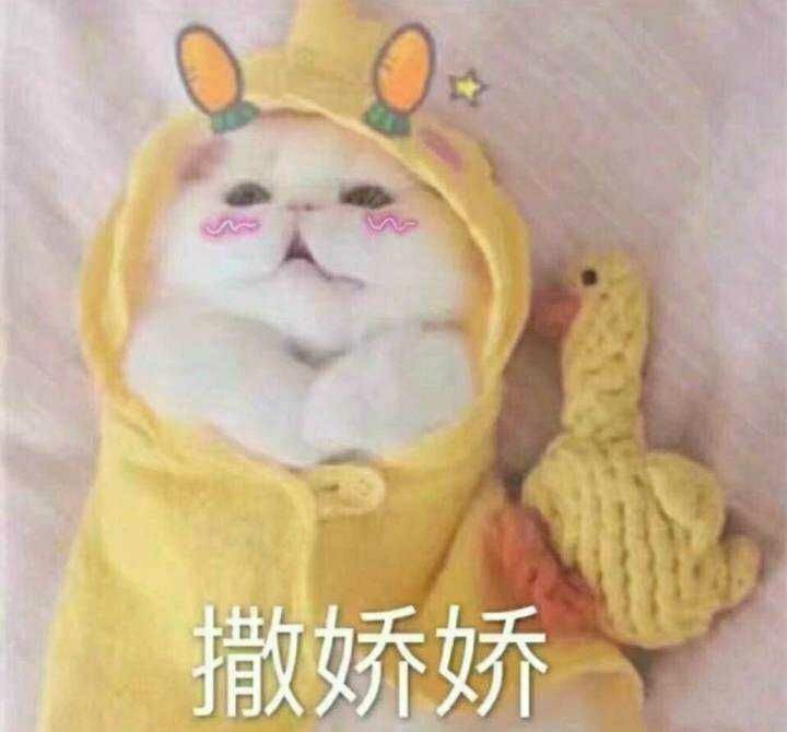 适合谈恋爱时发的超甜表情包