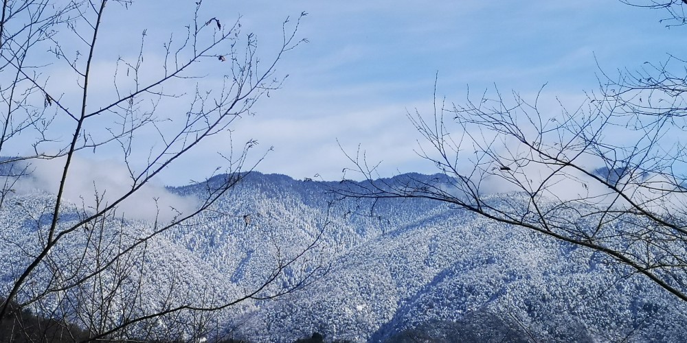 北川迎来2021年第一场雪 网友惊呼