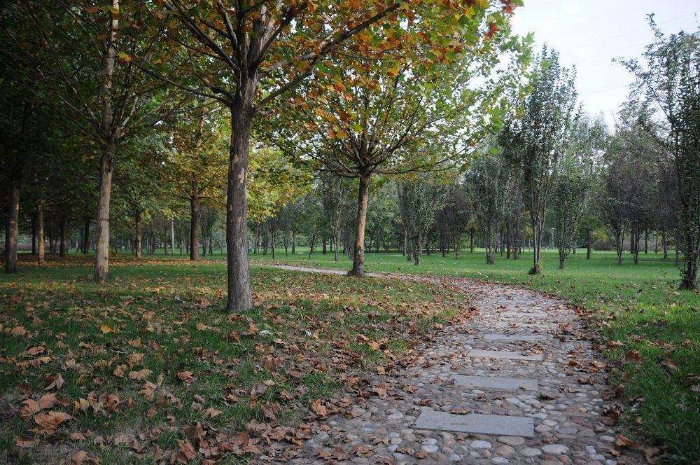 宛什么什么扬成语_宛仝乐用的什么球杆(3)