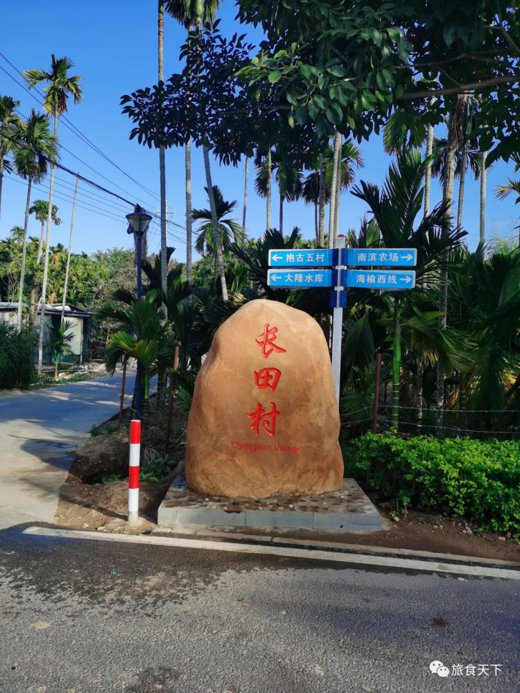 大胆乡人口_人口普查(3)