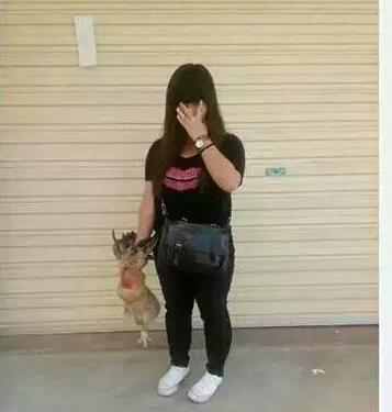 求大神把那只鸡p掉哈哈哈哈笑出眼泪来了