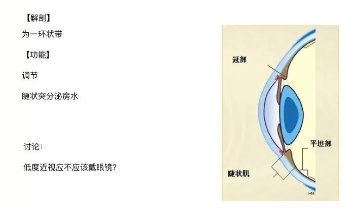 大脑中大约有80%的知识和记忆都是通过眼睛获取的.