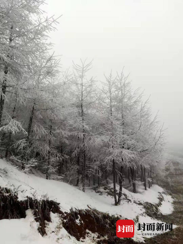 四川各地今日雪景来了,你pick谁?|图集