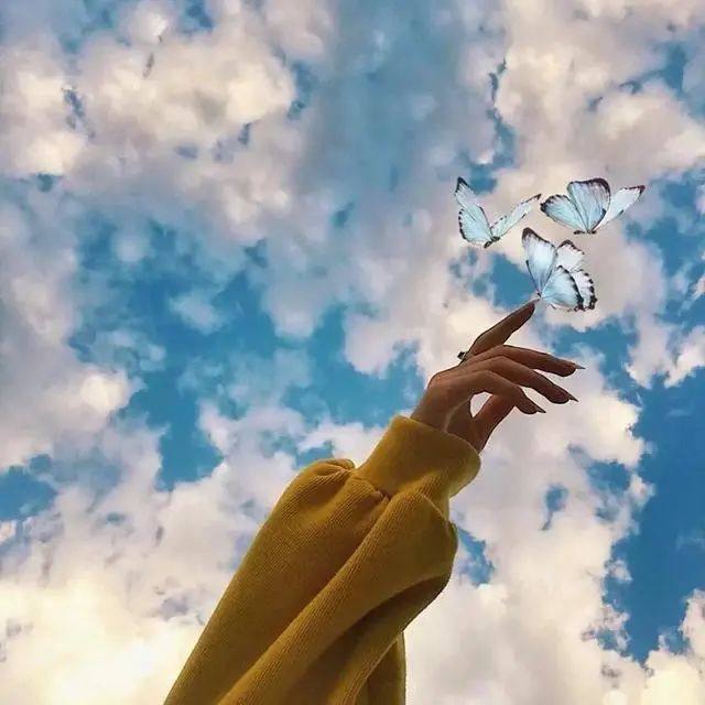 保持好心态的人生感悟句子