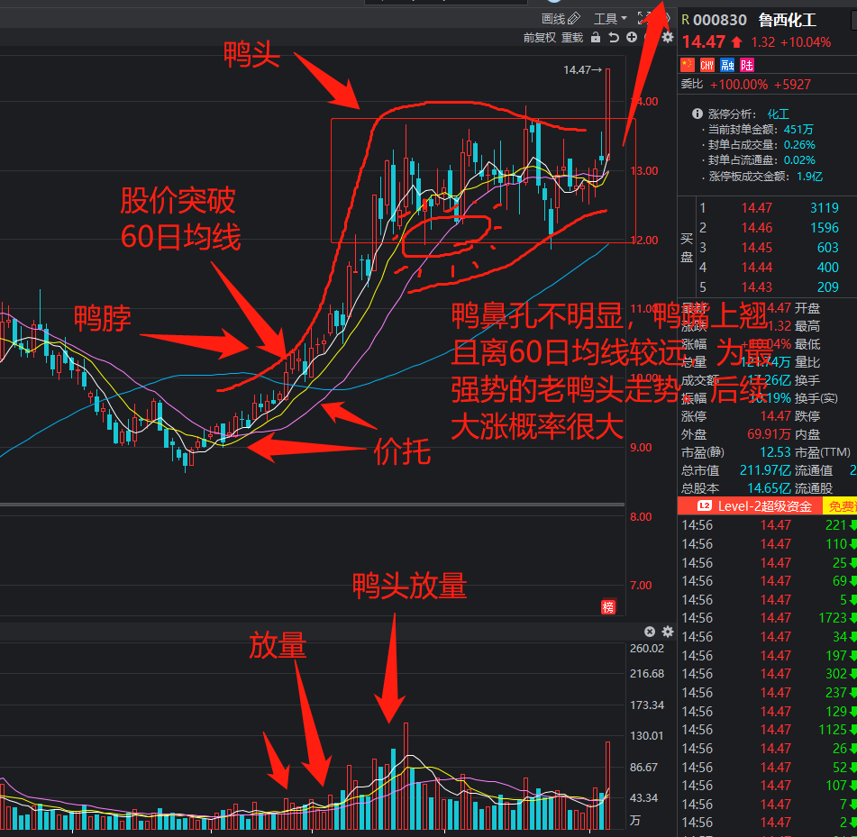 没看过的可以去翻记录,老鸭头出来了,短期股价30%~100%的涨幅是极大的