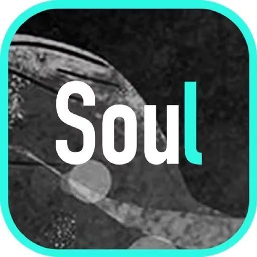 "我"在soul上被骗34万