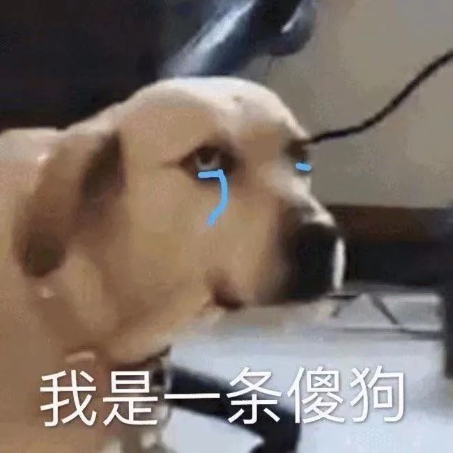 【表情包】心如死灰