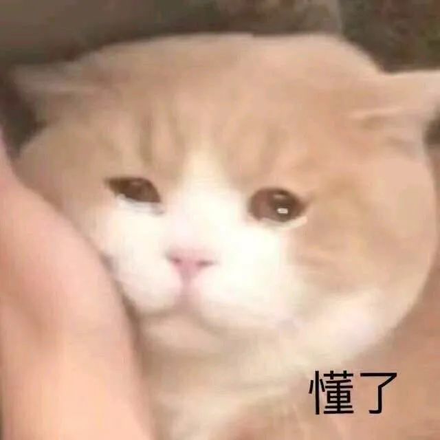 【表情包】心如死灰