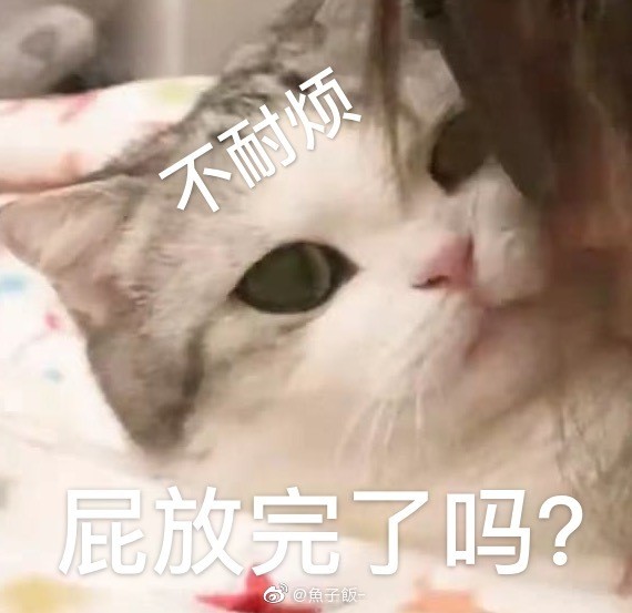 猫咪表情包‖香香软软的小泡芙专场～今天是甜甜的小猫咪鸭