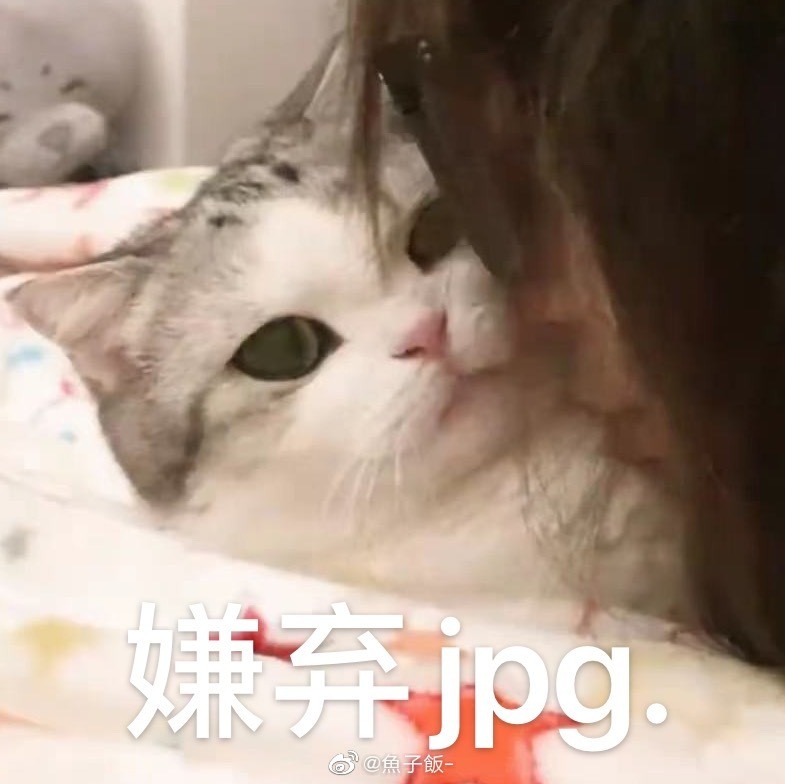 猫咪表情包‖香香软软的小泡芙专场～今天是甜甜的小猫咪鸭