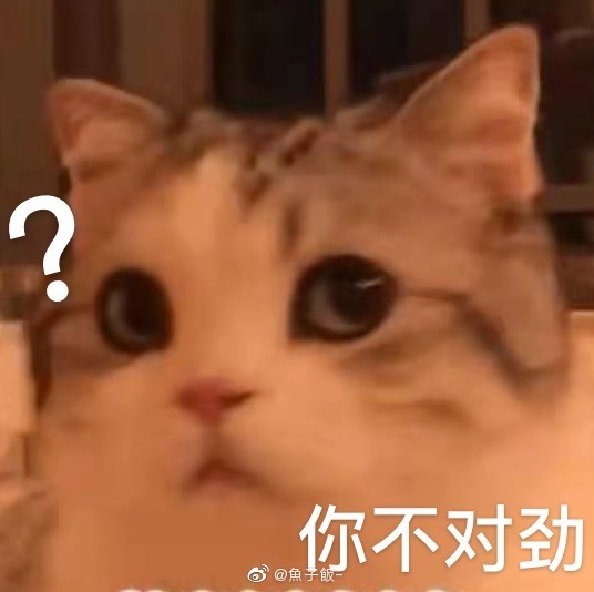 猫咪表情包‖香香软软的小泡芙专场～今天是甜甜的小猫咪鸭