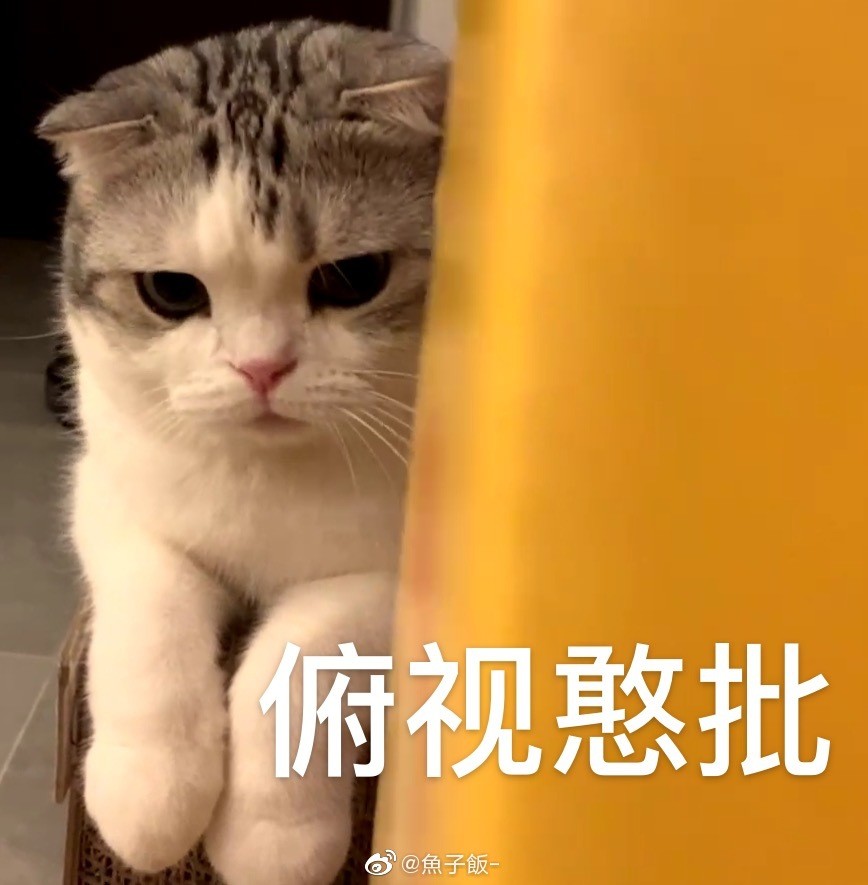 猫咪表情包香香软软的小泡芙专场今天是甜甜的小猫咪鸭