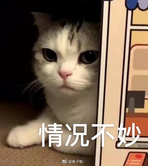 猫咪表情包香香软软的小泡芙专场今天是甜甜的小猫咪鸭